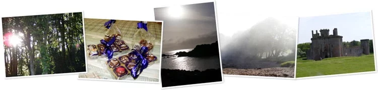 View Photos from a romantic getaway